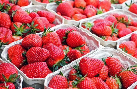 erdbeeren